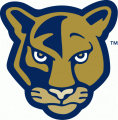 FIU Panthers 2001-2008 Alternate Logo Print Decal