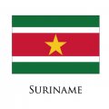 Suriname flag logo Iron On Transfer
