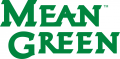 North Texas Mean Green 2005-Pres Wordmark Logo 02 Print Decal
