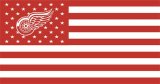 Detroit Red Wings Flag001 logo Iron On Transfer