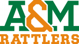 Florida A&M Rattlers 2013-Pres Wordmark Logo 11 Print Decal