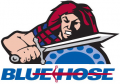 Presbyterian Blue Hose 2001-Pres Alternate Logo Print Decal