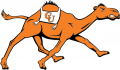 Campbell Fighting Camels 2008-Pres Alternate Logo Iron On Transfer