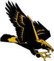 Southern Miss Golden Eagles 1990-2002 Secondary Logo Print Decal