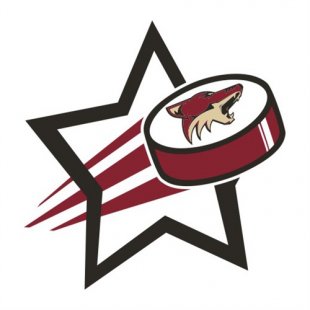 Arizona Coyotes Hockey Goal Star logo Print Decal