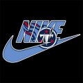 Tennessee Titans Nike logo Print Decal