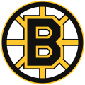 Boston Bruins 1995 96-2006 07 Primary Logo Print Decal