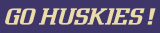 Washington Huskies 2001-Pres Wordmark Logo 01 Iron On Transfer