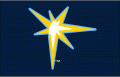 Tampa Bay Rays 2013-Pres Batting Practice Logo Print Decal
