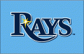 Tampa Bay Rays 2010-Pres Jersey Logo Iron On Transfer