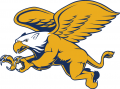 Canisius Golden Griffins 2006-Pres Secondary Logo Print Decal