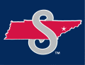 Tennessee Smokies 2010-2014 Cap Logo Print Decal