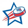 New York Rangers Hockey Goal Star logo Print Decal