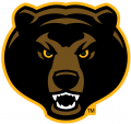 Baylor Bears 2005-2018 Alternate Logo 07 Print Decal