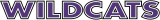 Abilene Christian Wildcats 1997-2012 Wordmark Logo 02 Iron On Transfer