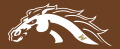 Western Michigan Broncos 2016-Pres Misc Logo Print Decal