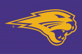 Northern Iowa Panthers 2002-2014 Partial Logo 02 Iron On Transfer