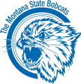 Montana State Bobcats 1960-1978 Alternate Logo 01 Iron On Transfer