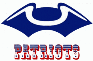 New England Patriots 1960 Alternate Logo Iron On Transfer