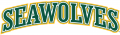 Alaska Anchorage Seawolves 2004-Pres Wordmark Logo 08 Print Decal