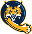 Quinnipiac Bobcats 2019-Pres Alternate Logo 03 Iron On Transfer