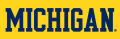 Michigan Wolverines 1996-Pres Wordmark Logo 01 Print Decal