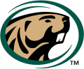 Bemidji State Beavers 2004-Pres Primary Logo Print Decal