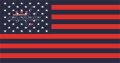 Washington Capitals Flag001 logo Print Decal
