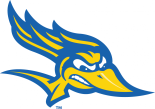 CSU Bakersfield Roadrunners 2006-Pres Alternate Logo 03 Print Decal