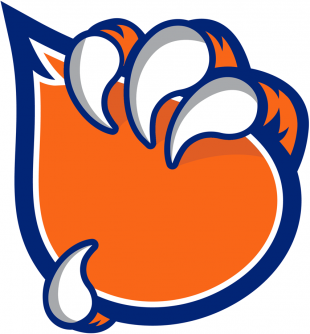 Bakersfield Condors 2015-2018 Secondary Logo Print Decal