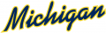 Michigan Wolverines 1996-Pres Wordmark Logo 10 Print Decal
