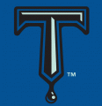 Tulsa Drillers 2004-Pres Cap Logo 2 Print Decal