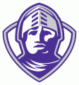 Furman Paladins 2004-2012 Alternate Logo Iron On Transfer
