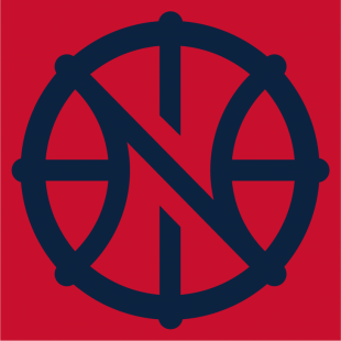 New Orleans Pelicans 2013-2014 Pres Alternate Logo 2 Iron On Transfer