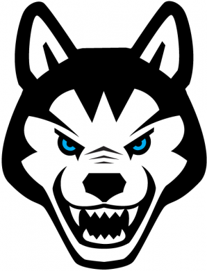 Northeastern Huskies 2001-2006 Alternate Logo 01 Print Decal