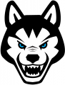 Northeastern Huskies 2001-2006 Alternate Logo 01 Print Decal