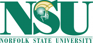Norfolk State Spartans 2005-Pres Alternate Logo Iron On Transfer