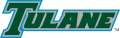 Tulane Green Wave 2014-Pres Wordmark Logo 04 Print Decal