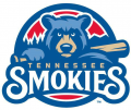 Tennessee Smokies 2015-Pres Primary Logo Print Decal