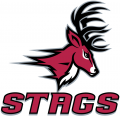 Fairfield Stags 2002-Pres Alternate Logo 03 Print Decal