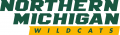 Northern Michigan Wildcats 2016-Pres Alternate Logo 04 Iron On Transfer