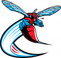 Delaware State Hornets 2004-Pres Alternate Logo 03 Print Decal