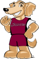 Southern Illinois Salukis 2006-2018 Mascot Logo 08 Iron On Transfer