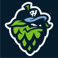 Hillsboro Hops 2013-Pres Cap Logo Print Decal