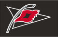 Carolina Hurricanes 2008 09-2016 17 Jersey Logo Iron On Transfer