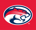 Houston Cougars 2012-Pres Alternate Logo 01 Print Decal