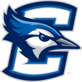 Creighton Bluejays 2013-Pres Primary Logo Print Decal