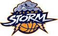 Island Storm 2013-Pres Primary Logo Print Decal