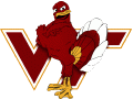 Virginia Tech Hokies 2000-Pres Alternate Logo Print Decal