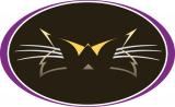 Western Carolina Catamounts 1996-2007 Alternate Logo 07 Iron On Transfer